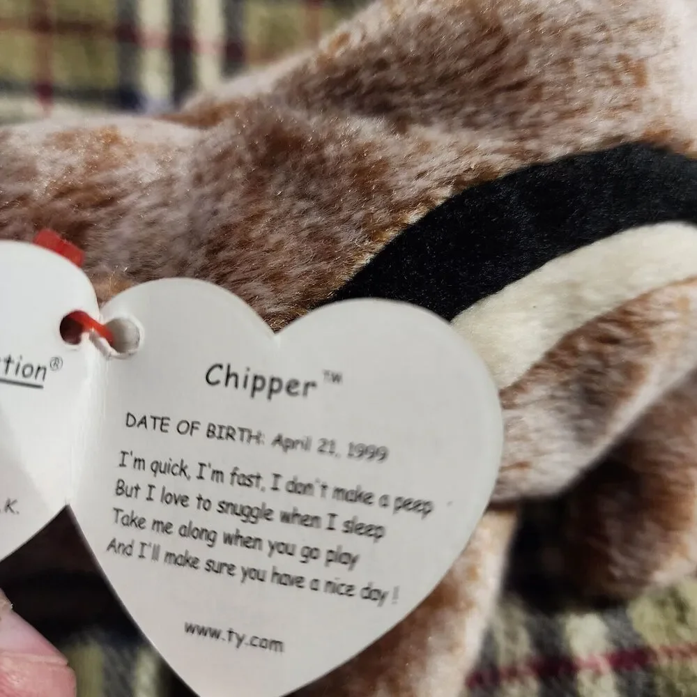 Chipper TY Beanie Baby Collection Retired Rare Errors #4